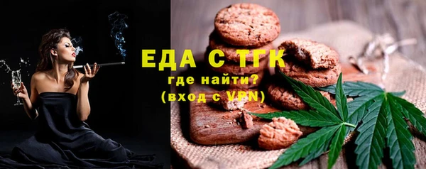 индика Гусиноозёрск